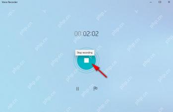 Windows 10 语音录音机录音中的停止按钮