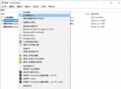 Everything怎么复制完整文件路径