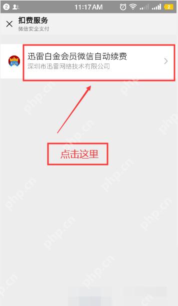 微信扣费服务页面中的迅雷白金会员自动续费项目