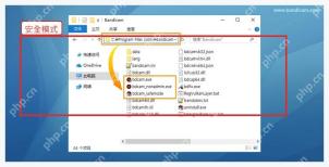 Bandicam 安全模式运行窗口中用于修复无法启动或无法录制的问题
