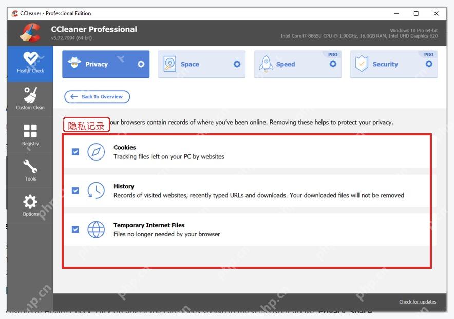 CCleaner Privacy 页面中可清理的浏览器隐私记录