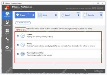 CCleaner Privacy 页面中可清理的浏览器隐私记录