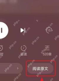 番茄免费小说中文手机App听书控制页显示阅读原文按钮,证明可返回文字阅读界面