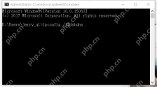 管理员命令提示符中输入 ipconfig flushdns 命令