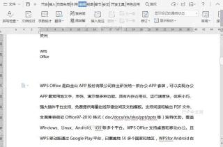 WPS如何设置文档拼写检查语言?结果检查