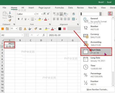Excel 开始选项卡数字格式下拉菜单选择 Short Date 将数字显示为日期