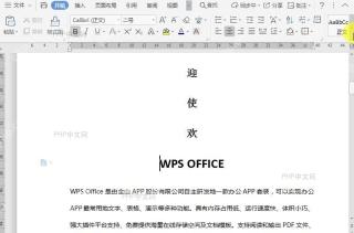 如何全选文档内容?中间操作