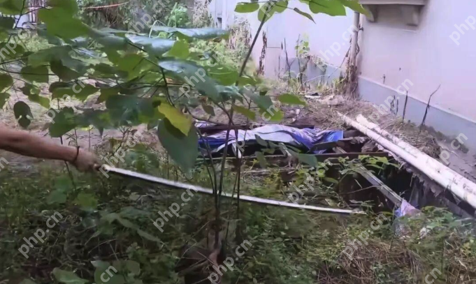 男子下樓撿鞋竟墜入綠化帶深坑身亡？詳情介紹 - php中文網(wǎng)