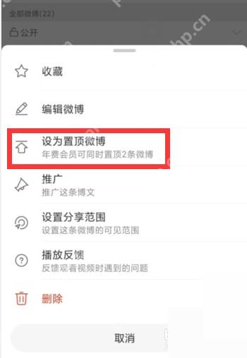 微博操作菜单里的设为置顶微博选项