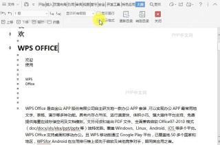 在文档大纲视图中如何显示所有文字内容的格式?结果检查