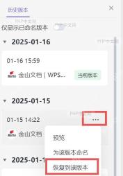 WPS历史版本侧栏中的版本时间、预览和恢复到该版本操作