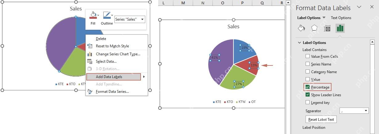 Excel 饼图右键添加数据标签并在数据标签格式中勾选百分比