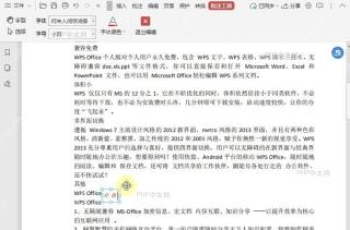 如何在PDF文档中插入文字批注?结果检查