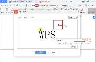 WPS PDF 签名编辑区中输入签名并准备确认