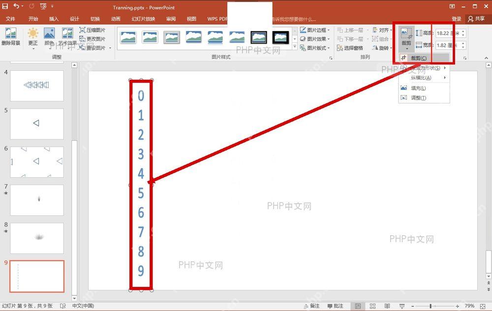 裁剪数字图片窗口