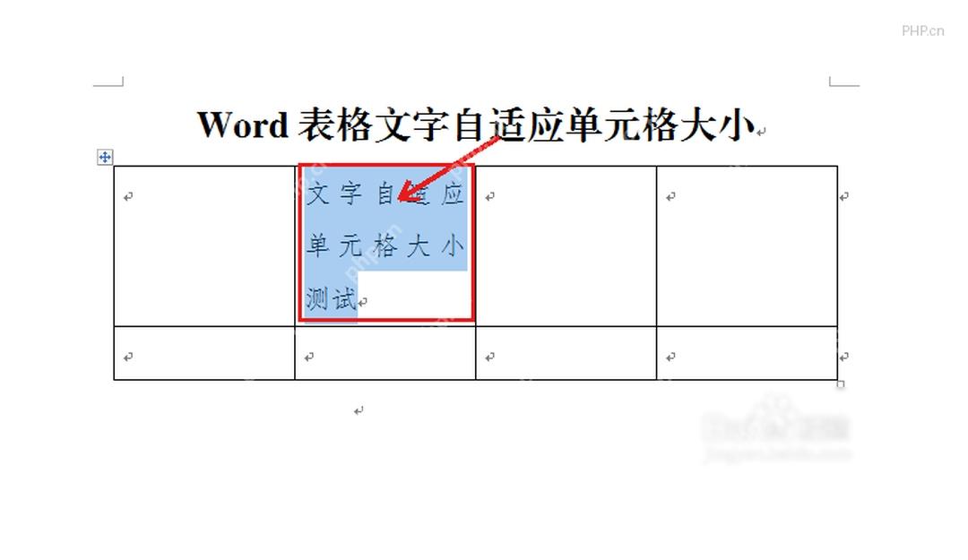Word 表格中选中需要适应单元格的文字区域