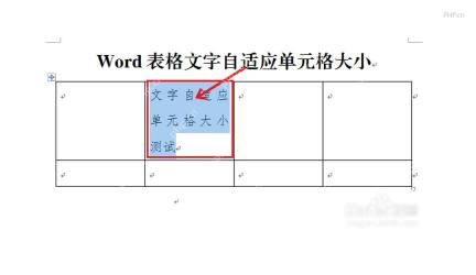 Word 表格中选中需要适应单元格的文字区域