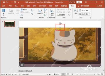 GIF图片已经插入到PowerPoint幻灯片中
