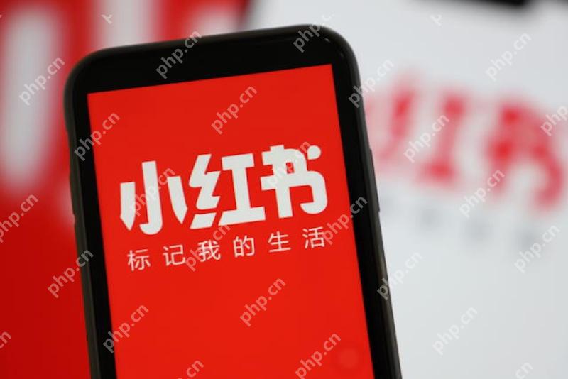 小红书搜索关键词总显示无结果是怎么回事 小红书搜不到内容怎么办 - php中文网