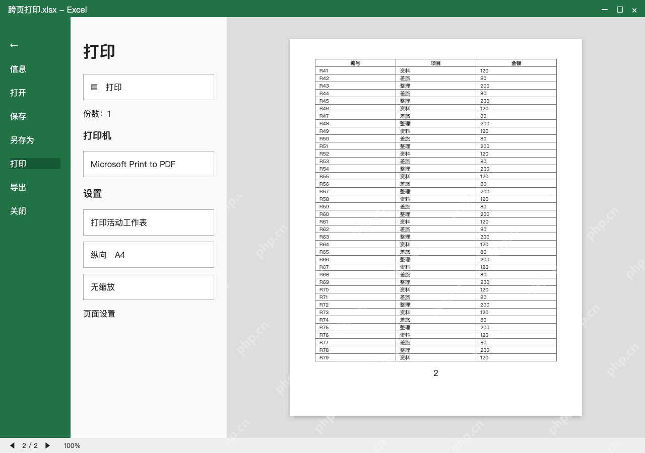 模拟 Microsoft Excel Windows桌面版 完整窗口：回到单行明细，预览第二页再保存