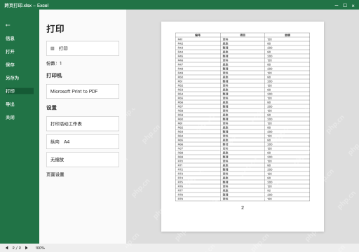 模拟 Microsoft Excel Windows桌面版 完整窗口：回到单行明细，预览第二页再保存