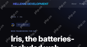 Hellenic Development Iris 官方页面展示 Iris 框架定位