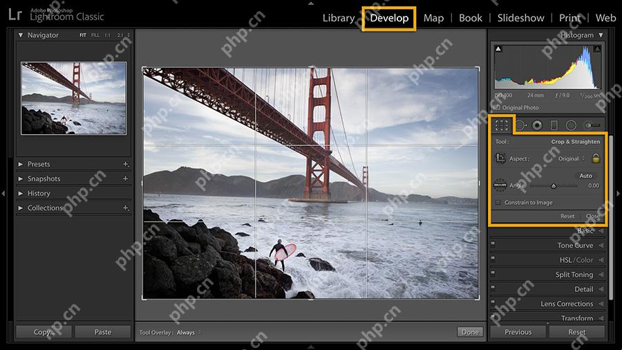 Lightroom Classic Windows 版英文修改照片模块打开 Crop and Straighten 裁剪与拉直工具
