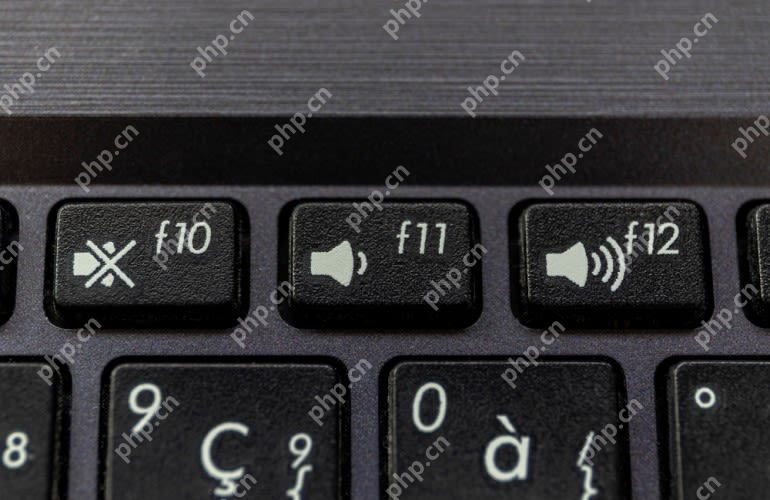win10调声音的快捷键是什么_win10音量调节快捷键使用说明 - php中文网
