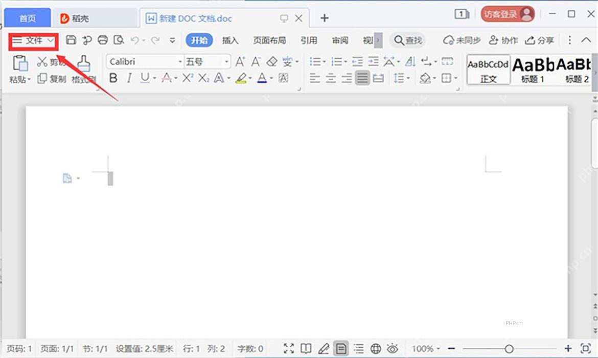 WPS 文字左上角文件按钮入口,用于进入自定义词典设置流程