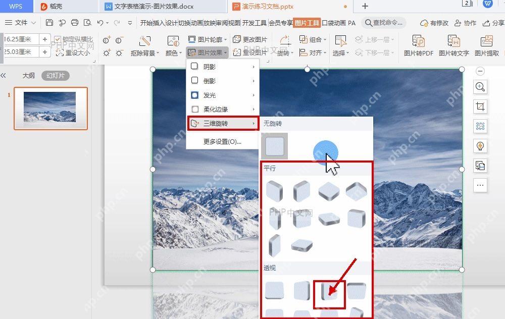 WPS 演示图片效果菜单中选择三维旋转样式