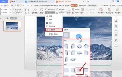 WPS 演示图片效果菜单中选择三维旋转样式