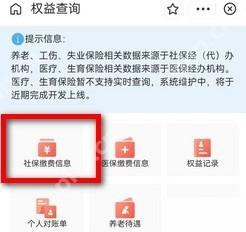 支付宝怎么查询社保缴纳了几年中文界面:权益查询页里的社保缴费信息入口,对应步骤:在权益查询页里点“社保缴费信息”。这一步是从总查询页继续细化到年限和缴费记录。