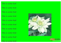 1619316352452731.png How to put pictures in css