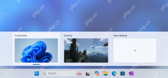 win11任务视图快捷键是什么_win11任务视图快捷键用法介绍 - php中文网