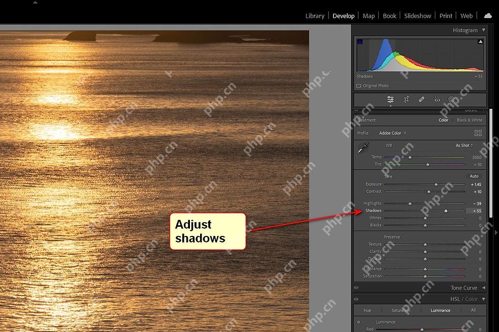 Lightroom Classic Windows 版英文基本面板阴影 Shadows 为正值,红箭头指向该滑块