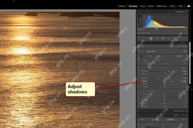 Lightroom Classic Windows 版英文基本面板阴影 Shadows 为正值，红箭头指向该滑块