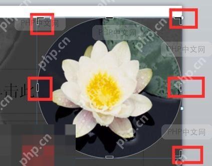 PowerPoint中选中重叠形状的界面