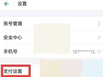 支付宝设置页面中的支付设置入口