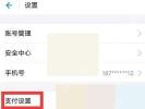 支付宝设置页面中的支付设置入口