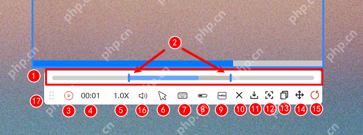 Windows 中文 PixPin 回放工具栏带音量按钮和保存格式区域,证明回放静音与导出无声需要分开排查