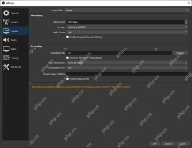 OBS Studio 官方输出设置页显示 Recording Path 字段