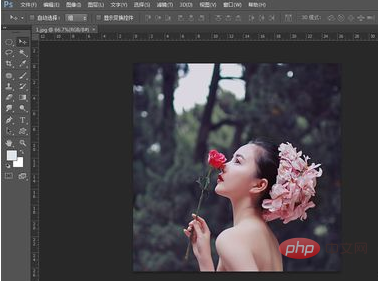 How to crop pictures in pscs6