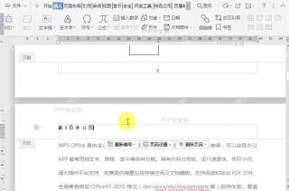 WPS如何在文档页码中插入自动图文集？结果检查
