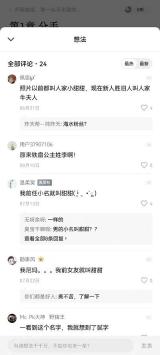 番茄小说想法评论面板，用于进入书评和评论内容