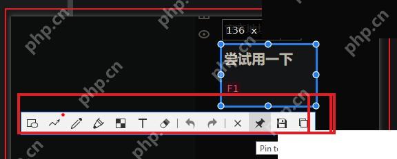 Snipaste Windows 截图工具条高亮保存按钮用于保存马赛克处理后的图片