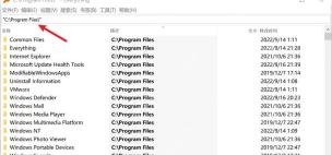 Everything 中文主窗口搜索框显示 C:\Program Files\，结果限定到当前文件夹。