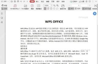 如何自定义PDF文档中替换符的颜色?入口位置