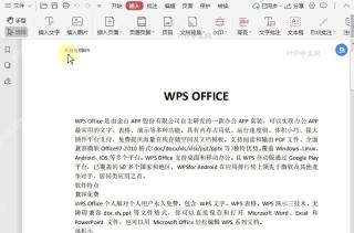 PDF如何在PDF文档中更新页眉页脚?设置效果