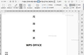 在文档阅读版式中如何显示批注？入口位置