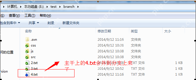 SVN版本控制系统入门指南 - php中文网